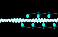 Link to actin treadmilling project