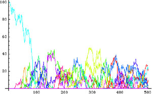 Alleles in evolution