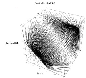 phase space