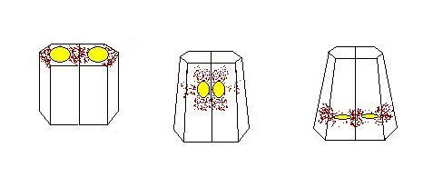 2 Cell migration