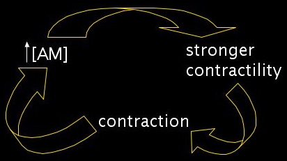 feedback loop