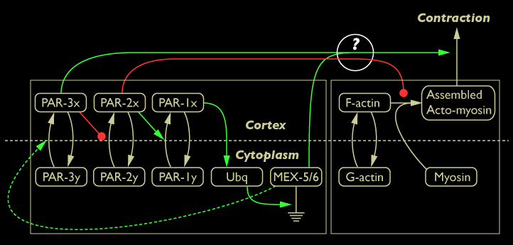 parmex network  2c