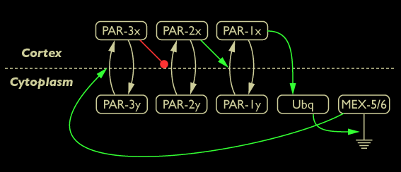 network