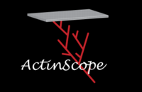 Links to ActinScope
