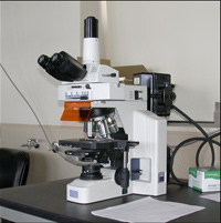 Nikon E600 DIC/epi-fluorescence scope