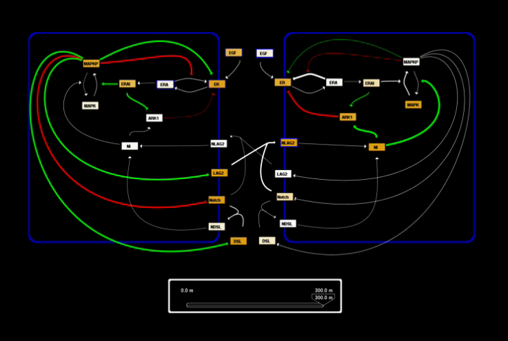 Network viewer