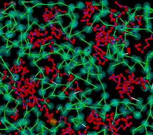 Oligomerization domains