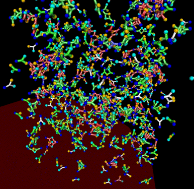 Oligomeric Network