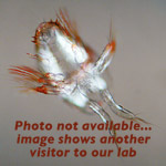 Lisa Nagy photo link to personal page