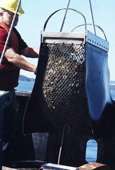 Charles Paxton with Dredge, photo