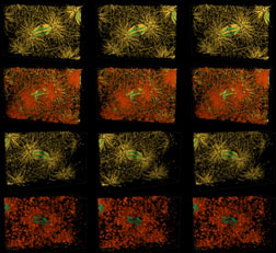 Small Fig. 5 image. Link to large version in new window, 268K. Description follows.