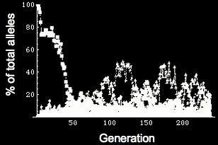 Allele plots