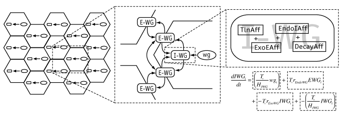 Modeling framework used in Ingeneue.