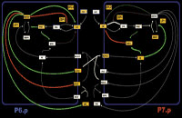 Link to Dynamic Models project II