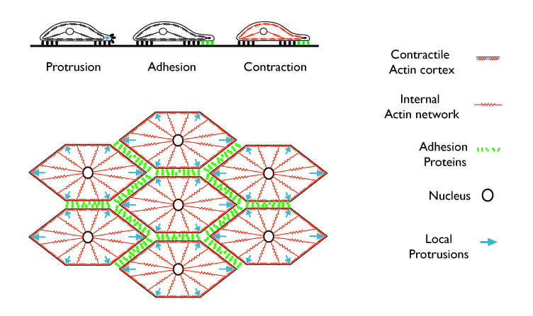 two diagrams, description follows